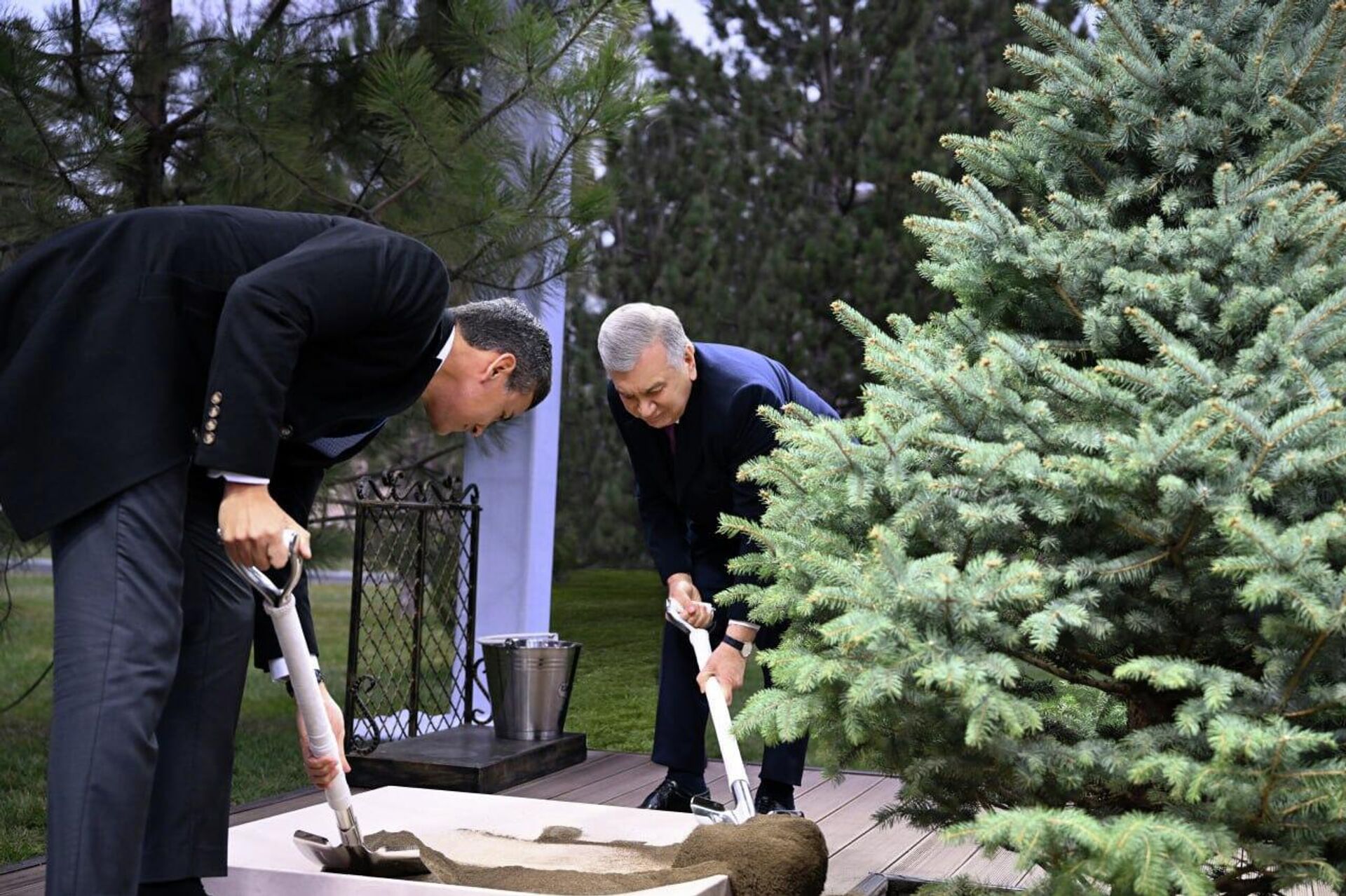 Президенты Узбекистана и Парагвая посадили дерево в резиденции Куксарой. - Sputnik Узбекистан, 1920, 11.12.2025