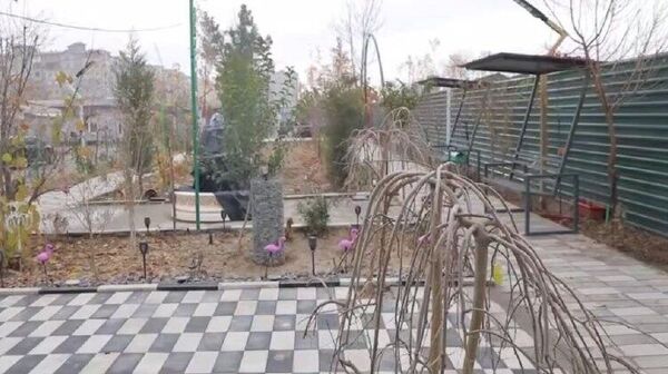 Жителя Ташкента не наказывали за создание зеленой зоны - Sputnik Узбекистан