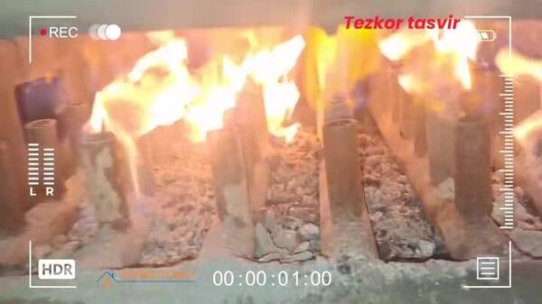 В Самаркандской области для работы нелегальной теплицы использовали газ на 1,2 млрд сумов - Sputnik Узбекистан