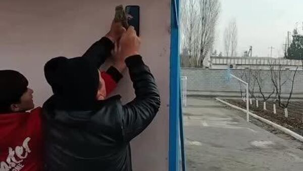 Видео с прибитым к доске телефоном было снято не в Самарканде, заявили в областном управлении ДШО - Sputnik Узбекистан
