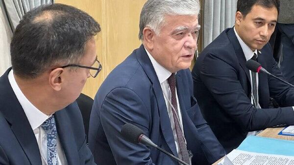 Обеспечение устойчивости энергосистемы сегодня - ключевой приоритет для Узбекистана, отметил Ильхом Нематов - Sputnik Узбекистан