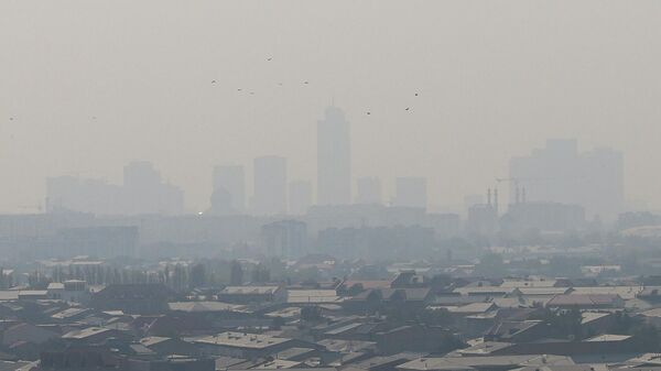 Загрязнение воздуха в Ташкенте - Sputnik Ўзбекистон