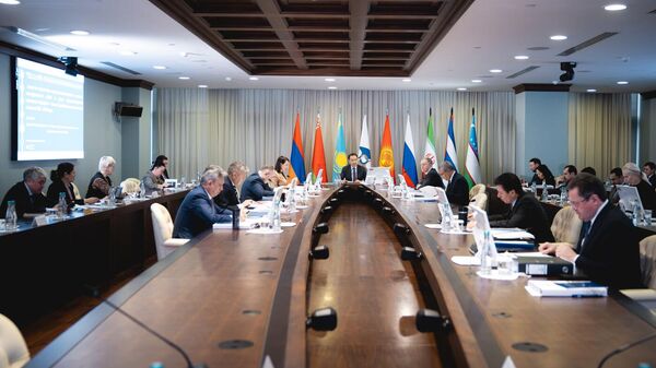 Kollegiya YeEK rassmotrela proyekti sozdaniya promproizvodstv - Sputnik O‘zbekiston