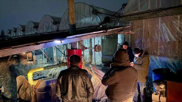 🟠 Более 1 тыс - Sputnik Узбекистан