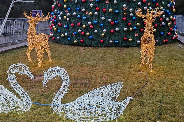 Самарканд готовится к новому году - Sputnik Узбекистан