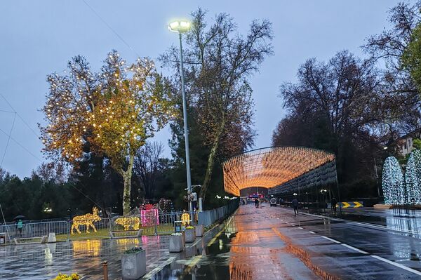 Самарканд готовится к новому году - Sputnik Узбекистан