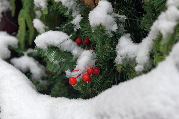 Ташкент встретил первый снег Ташкент встретил первый снег - Sputnik Узбекистан