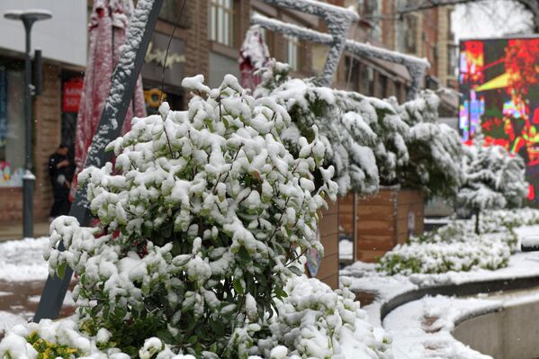 Пришла зима в Ташкент Пришла зима в Ташкент - Sputnik Узбекистан