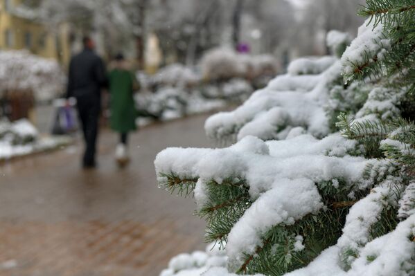 Зимняя прогулка Зимняя прогулка - Sputnik Узбекистан