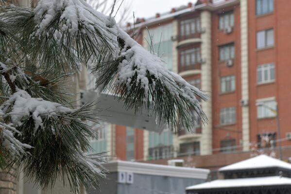 Ташкент встретил первый снег Ташкент встретил первый снег - Sputnik Узбекистан