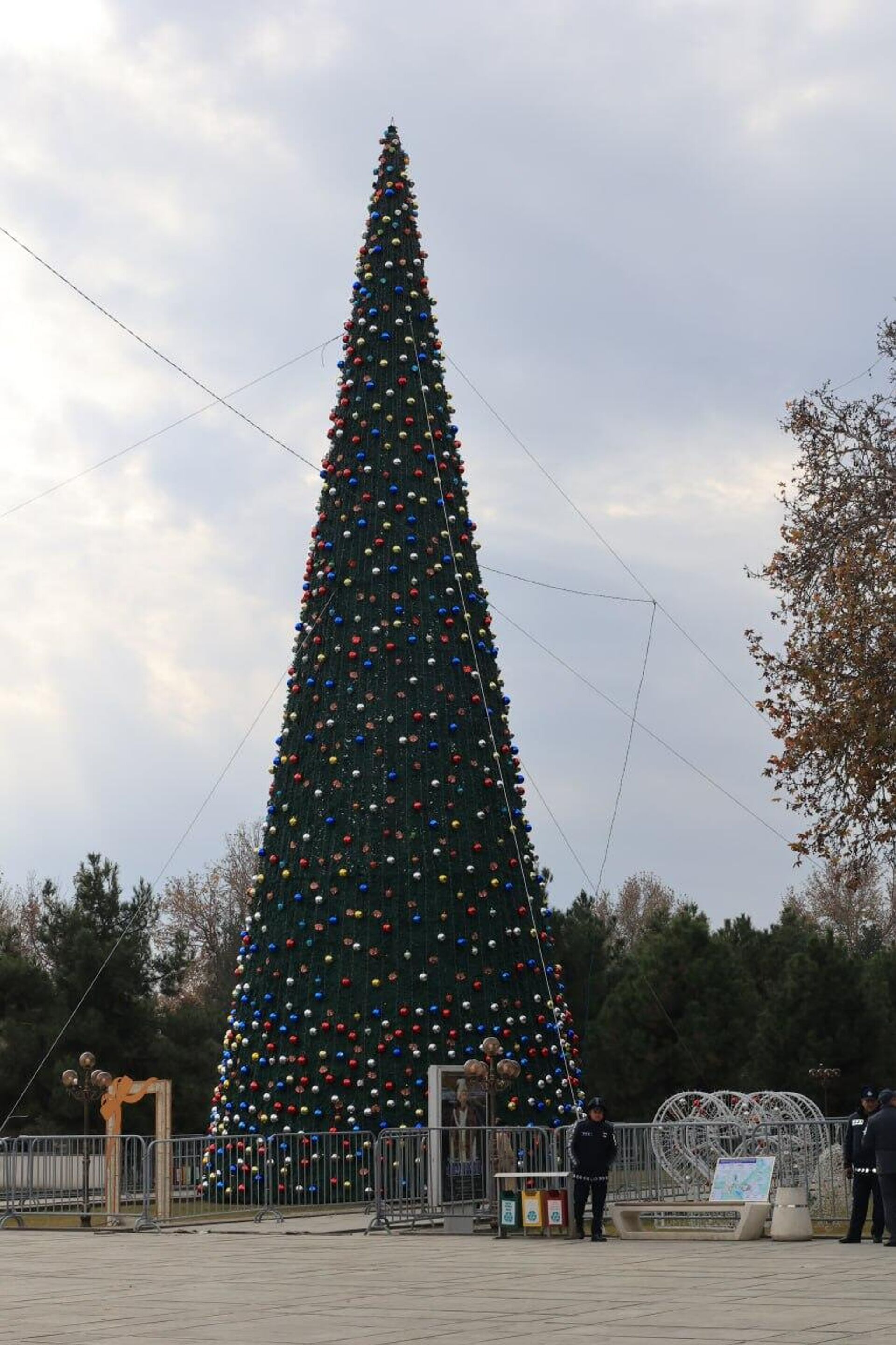 Самарканд готовится к Новому году - Sputnik Узбекистан, 1920, 18.12.2025