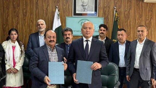 Узбекистан получил разрешение на поставку в Пакистан гранатов, слив и винограда - Sputnik Узбекистан