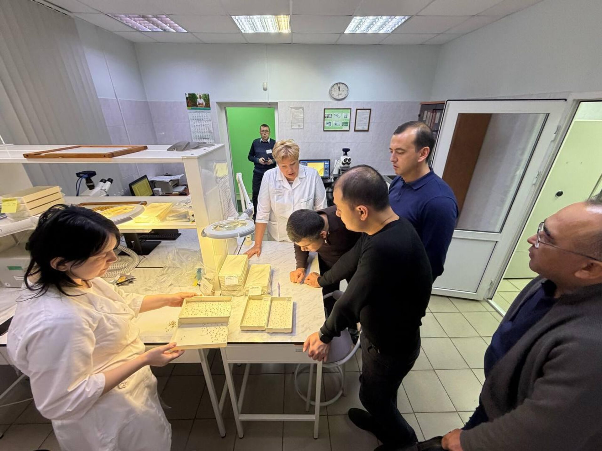 Специалисты агентства по карантину и защите растений Узбекистана посетили испытательную лабораторию филиала Центра оценки качества сельхозпродукции (ЦОК АПК) в Москве - Sputnik Узбекистан, 1920, 19.12.2025