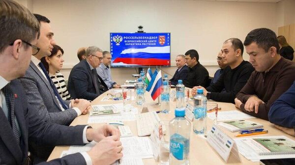 Российские технологии фитосанитарного контроля могут внедрить в Узбекистане - Sputnik Узбекистан