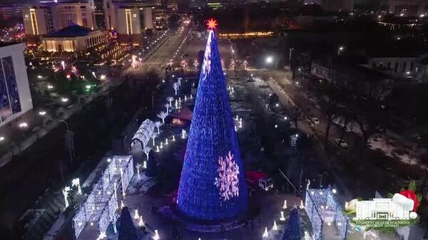 В Ташкенте установили главную новогоднюю елку страны - Sputnik Узбекистан