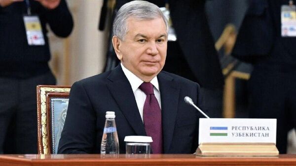 Шавкат Мирзиёев принял участие в неформальной встрече глав государств СНГ в Санкт-Петербурге - Sputnik Узбекистан