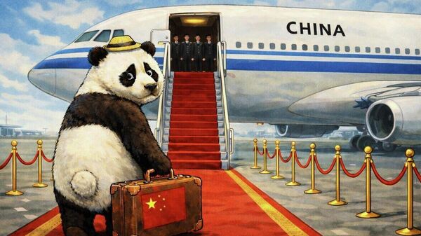 Китай нанес Японии болезненный удар в мягкое место
 - Sputnik Узбекистан