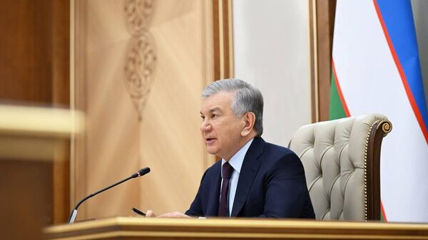 Определены задачи по более полному задействованию потенциала Сурхандарьинской области  - Sputnik Ўзбекистон