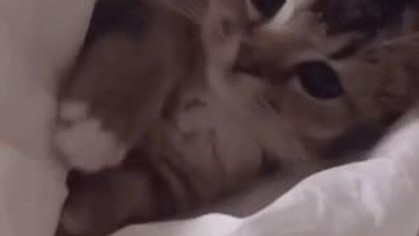 Сегодня днем по Узбекистану без осадков - Sputnik Узбекистан