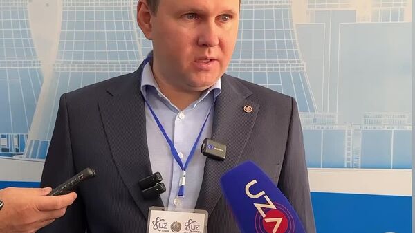 Площадка для строительства АЭС в Узбекистане является благоприятной – эксперт - Sputnik Узбекистан