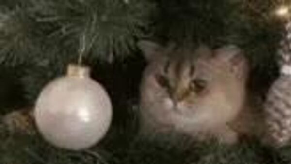 Сегодня в Узбекистане ожидается теплая и дождливая погода - Sputnik Узбекистан