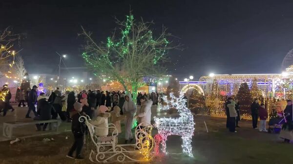 Как отмечают Новый год в самом северном регионе Узбекистана? - Sputnik Узбекистан