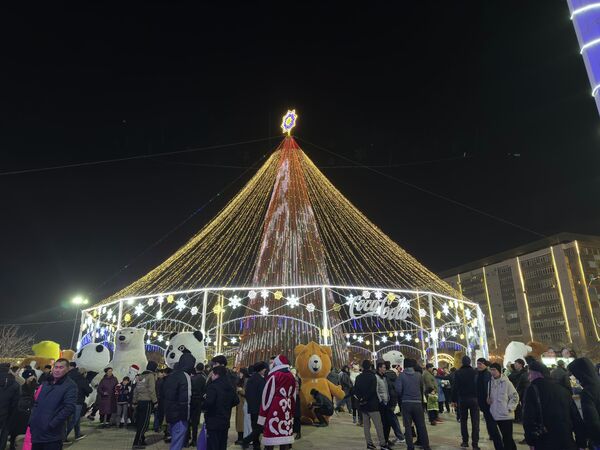 Нукус арчаси гуёки ўтов ичига ўрнатилганга ўхшайди. - Sputnik Ўзбекистон