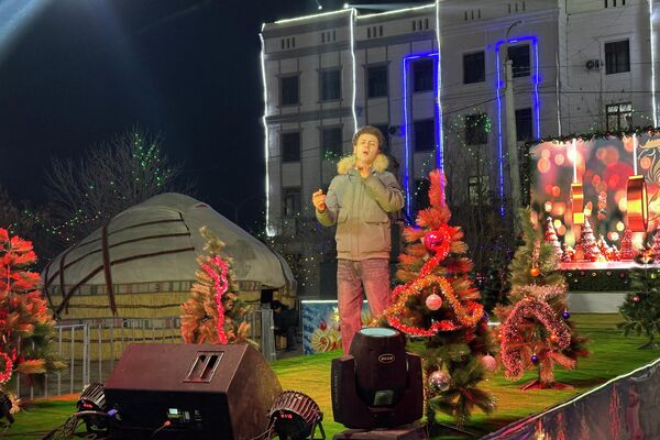 Новогодние праздничные выходные в Нукусе Новогодние праздничные выходные в Нукусе - Sputnik Узбекистан