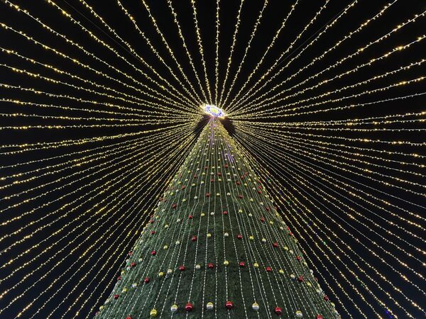 Нукус арчаси гуёки ўтов ичига ўрнатилганга ўхшайди. - Sputnik Ўзбекистон