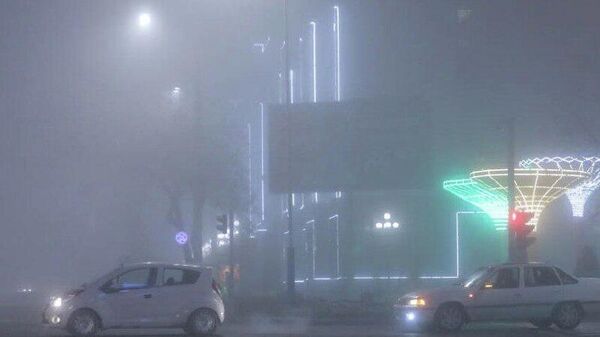 В Ташкенте густой туман: УБДД ГУВД просит водителей соблюдать дистанцию - Sputnik Узбекистан