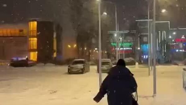 В Москве и Подмосковье рекордный снегопад: к вечеру сугробы побьют рекорд высоты - Sputnik Узбекистан