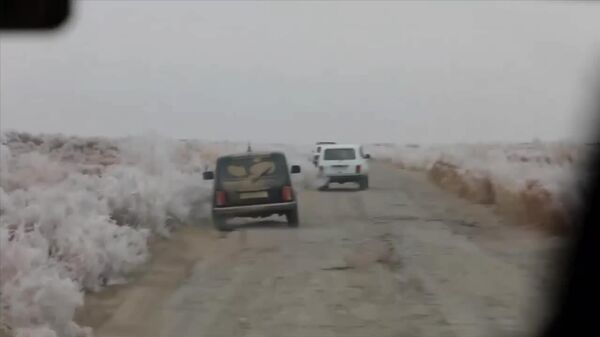 🟠 Экополиция зафиксировала несколько эпизодов браконьерства в разных регионах Узбекистана - Sputnik Узбекистан