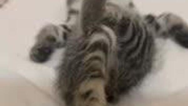 Сегодня в Узбекистане ожидается теплая погода без осадков Сегодня в Узбекистане ожидается теплая погода без осадков - Sputnik Узбекистан