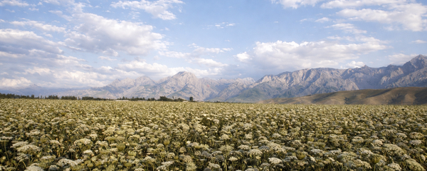 Ферганская долина в Узбекистане - Sputnik Узбекистан