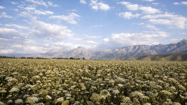 Ферганская долина в Узбекистане - Sputnik Узбекистан