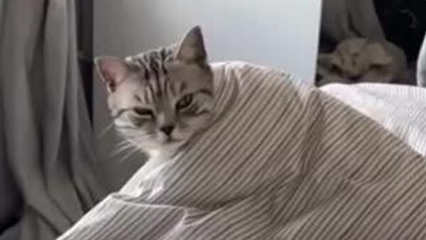 Сегодня в Узбекистане сохранится сухая и теплая погода - Sputnik Узбекистан