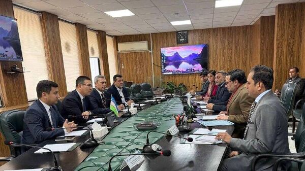 Узбекистан и Пакистан обсудили возможность вывода узбекской сельхозпродукции на внешние рынки через пакистанские порты - Sputnik Узбекистан