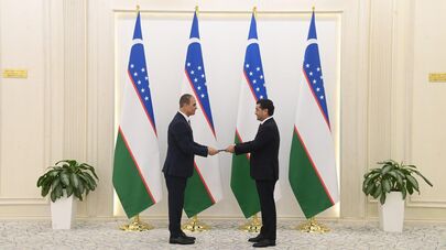 Получение копии верительных грамот новоназначенного посла Палестины в Узбекистане г-на Вайлла Ахмеда Баттрехи