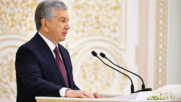 Вызывает обеспокоенность наличие граждан Узбекистана, находящихся за границей незаконно, заявил Шавкат Мирзиёев - Sputnik Узбекистан