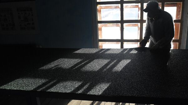 Заключённый - Sputnik Ўзбекистон