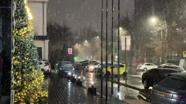 В Ташкенте пошел снег - Sputnik Узбекистан