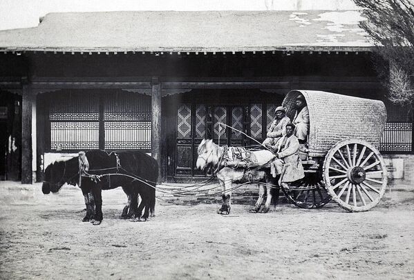 Узбекистан в XIX веке фотографии В. Ордена из музее Кунсткамеры - Sputnik Ўзбекистон