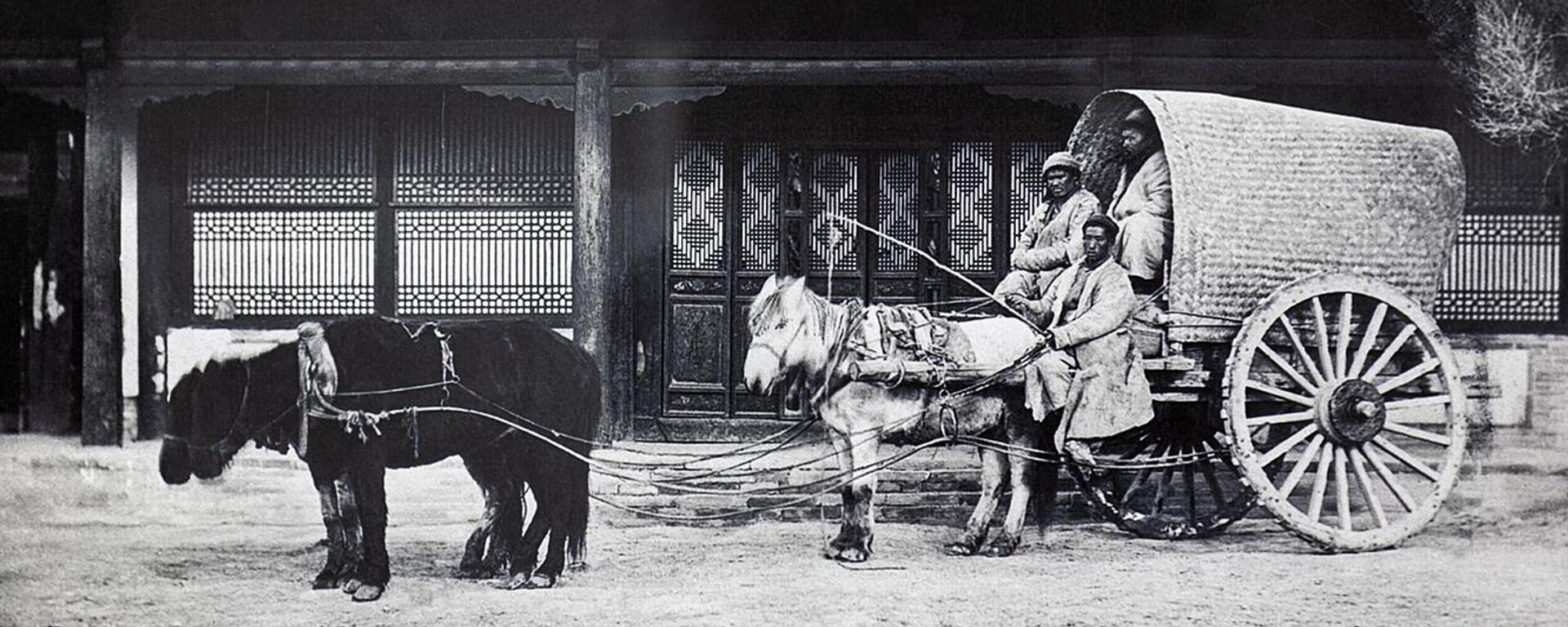 Uzbekistan v XIX veke fotografii V. Ordena iz muzee Kunstkameri - Sputnik O‘zbekiston, 1920, 08.11.2024