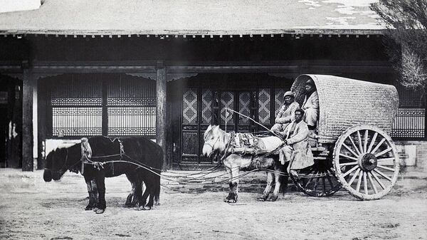 Uzbekistan v XIX veke fotografii V. Ordena iz muzee Kunstkameri - Sputnik O‘zbekiston