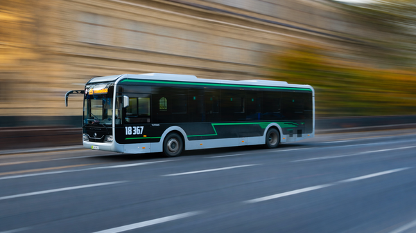 Золотая осень в Ташкенте: Где найти лучшие виды для прогулок и фото - Sputnik Ўзбекистон