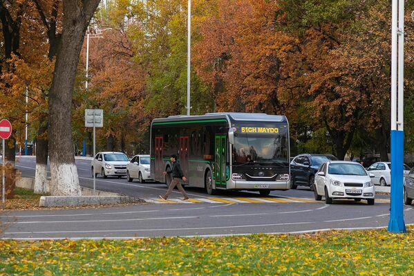 Автомобильное движение на улице в Ташкенте - Sputnik Узбекистан
