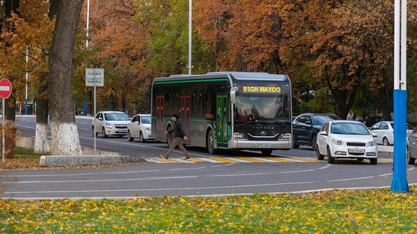 Zolotaya osen v Tashkente: Gde nayti luchshie vidi dlya progulok i foto - Sputnik O‘zbekiston