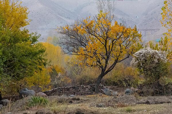 Chodakda kuz - Sputnik O‘zbekiston