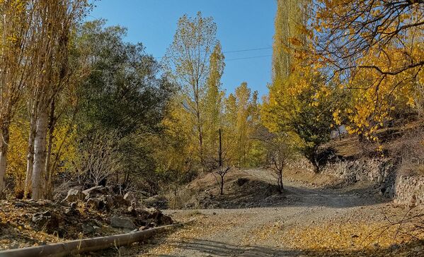 Chodak qishlog‘i - Sputnik O‘zbekiston