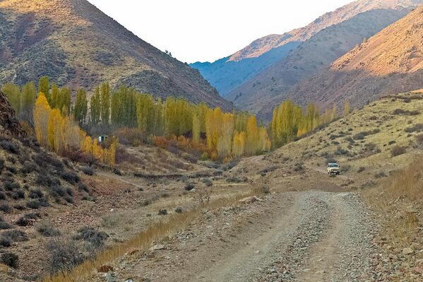 Tog‘li hudud go‘zal tabiati va toza havosi bilan jozibali - Sputnik O‘zbekiston